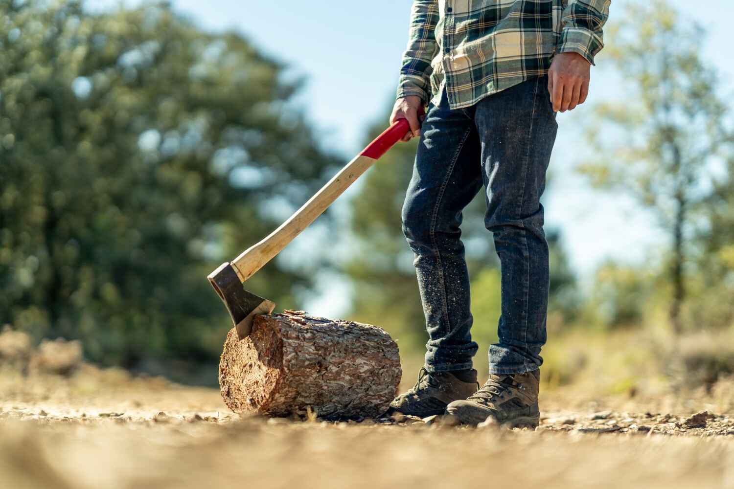 Otsego, MN Tree Service Company